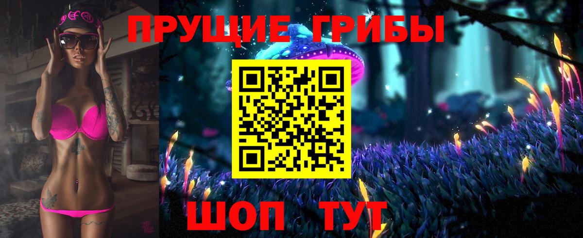 Галлюциногенные грибы мицелий  магазин продажи наркотиков  Вход с VPN  Ессентуки  Галлюциногенные грибы Cubensis 