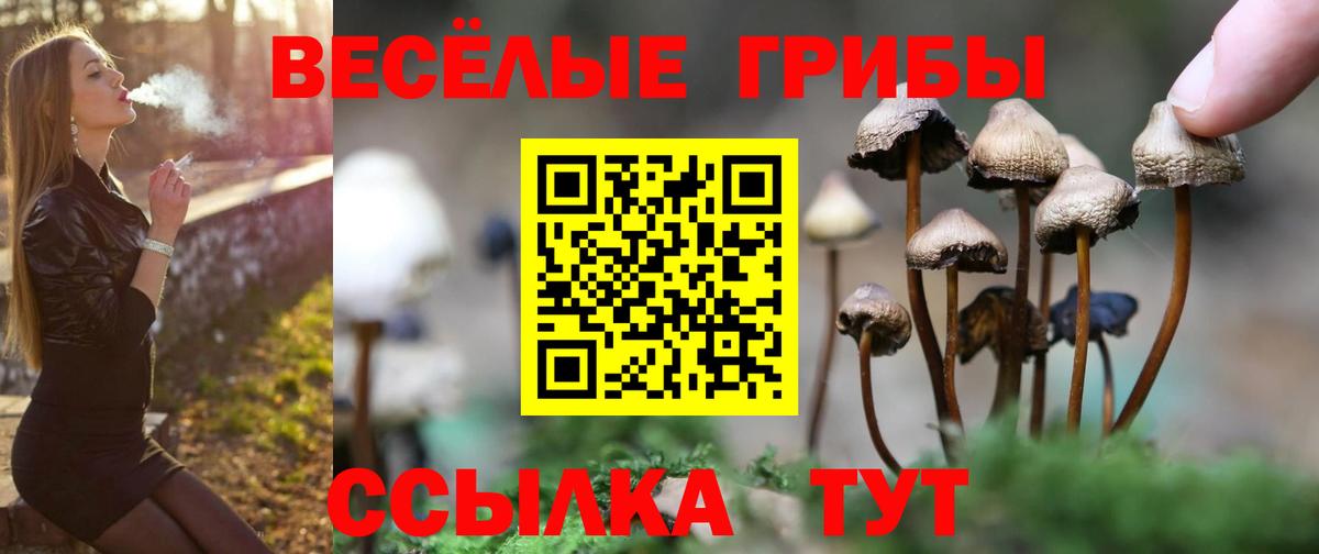 Галлюциногенные грибы мицелий Ессентуки
